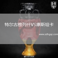 特爾古穆列什VS康斯坦卡