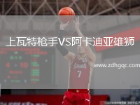 上瓦特槍手VS阿卡迪亞雄獅