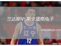 蘭達斯VS斯文堡格兔子