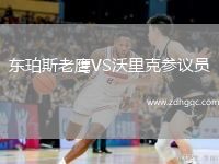東珀斯老鷹VS沃里克參議員