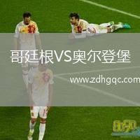 哥廷根VS奧爾登堡