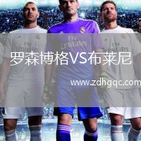 羅森博格VS布萊尼