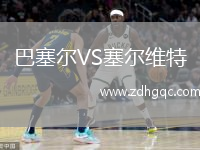 巴塞爾VS塞爾維特