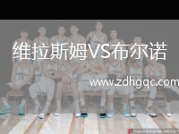 維拉斯姆VS布爾諾