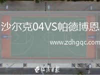 沙爾克04VS帕德博恩