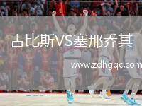 古比斯VS塞那喬其