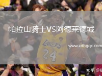帕拉山騎士VS阿德萊德城