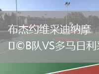 布杰約維采迪納摩B隊VS多馬日利采