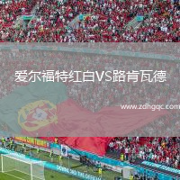 愛(ài)爾福特紅白VS路肯瓦德