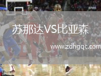 蘇那達VS比亞森