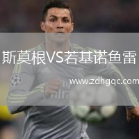 斯莫根VS若基諾魚(yú)雷