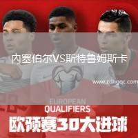 內塞伯爾VS斯特魯姆斯卡