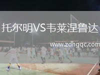 托爾明VS韋萊涅魯達