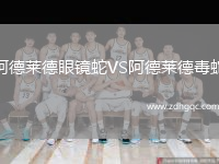 阿德萊德眼鏡蛇VS阿德萊德毒蛇