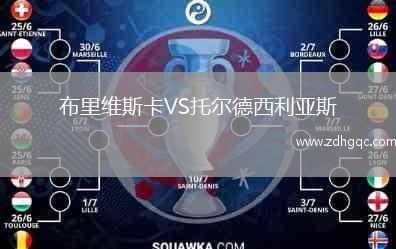 布里維斯卡VS托爾德西利亞斯