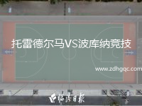托雷德?tīng)栺RVS波庫納競技