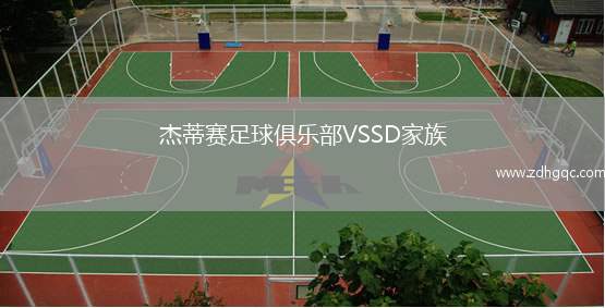 杰蒂賽足球俱樂(lè )部VSSD家族