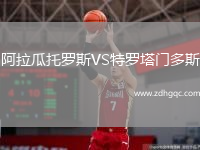 阿拉瓜托羅斯VS特羅塔門(mén)多斯