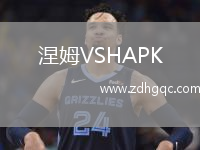涅姆VSHAPK