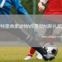 特里弗索波特VS恩尼加斯扎尼