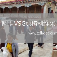 阿卡VSGtk格利維采