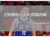 巴阿蒙牧牛人VS阿雷西博