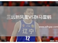 三遠新鳳凰VS群馬雷鶴