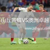 山丘黃蜂VS澳洲卓越