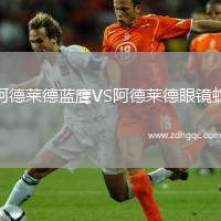 阿德萊德藍鷹VS阿德萊德眼鏡蛇