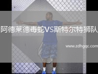 阿德萊德毒蛇VS斯特爾特獅隊