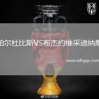 帕爾杜比斯VS布杰約維采迪納摩