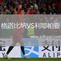 格洛比納VS利耶帕亞