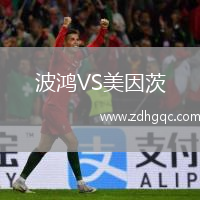 波鴻VS美因茨