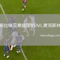 斯拉維亞莫茲里VSML麥克斯林
