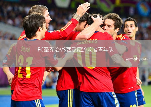 FC圣喬治VS西悉尼流浪者青年隊