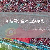 加拉阿爾金VS查洛摩利
