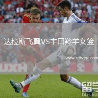 達拉斯飛翼VS豐田羚羊女籃