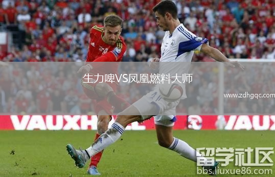 生力啤VS鳳凰燃料大師
