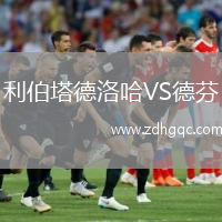 利伯塔德洛哈VS德芬