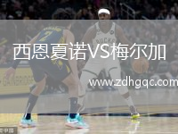 西恩夏諾VS梅爾加