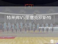 特萊弗VS里塞克羅斯特