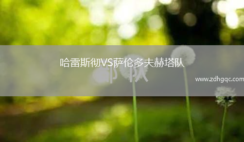 哈雷斯徹VS薩倫多夫赫塔隊