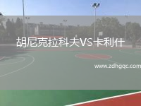 胡尼克拉科夫VS卡利什