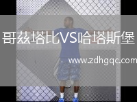 哥茲塔比VS哈塔斯堡