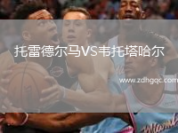 托雷德?tīng)栺RVS韋托塔哈爾