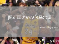 圖斯霍諾VSVfB馬爾堡
