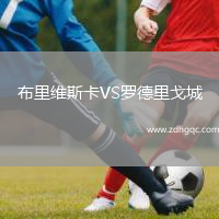 布里維斯卡VS羅德里戈城