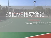 努伯VS格羅德諾
