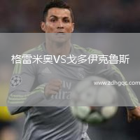 格雷米奧VS戈多伊克魯斯