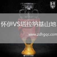 懷伊VS塔拉納基山地